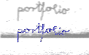 portfoli